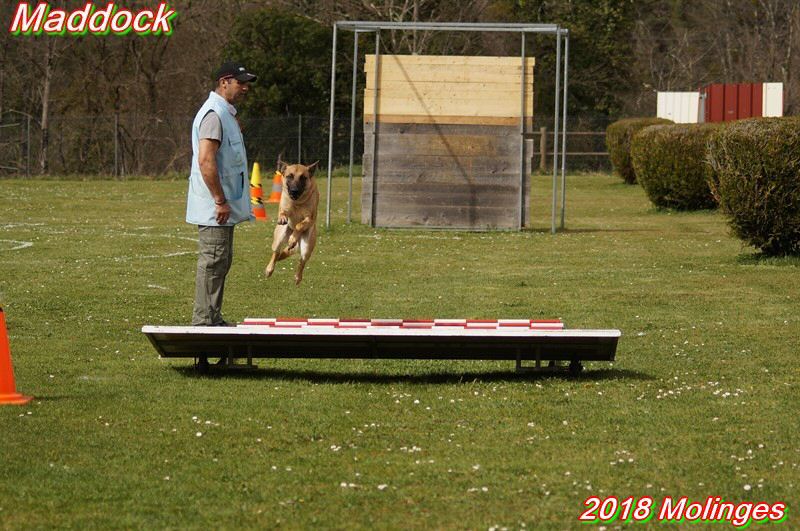 2018 Maddock Molinges long1 (Copier).jpg